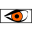 Forensic Video Report Standard