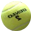 Dream Match Tennis v1.10