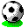 Cerebelus Professional
