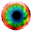 LSS 3D Vision