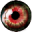 FEAR version FEAR