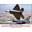 Digital Edition - 2015-16_Aviation_Calendar - 10083287