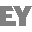 EY Disclaimer