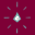 Lucid Trips