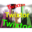 Twixtor v8 for After Effects and Premiere Pro