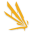 ICARUS