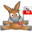 yMule Youtube Downloader V1.9