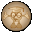 EDU Limba Romana I-II 1.0