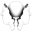 Janus VR version 49.64