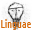 Linguae 0.15 Beta