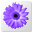 Artweaver Free 3.1