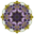 Dazzling Reflections version Free Clover Template