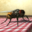 Fly Simulator