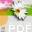 WordFree PDF