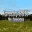Forestry 2017 The Simulation