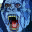 Konga Simulation version V 1.0