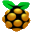 RaspiView 1.7.0.0