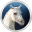 Fog Horses 3D Screensaver and Animated Wallpaper 1.0