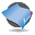 Professional Test Program-SMR