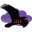 Raven Lite 2