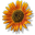 4MOSAn Vulnerability Management 5.0