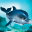 Willy Dolphin  demo