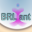 XBRLiant version 1.01 Beta