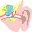 HearLoss 1.1