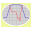 S-Plotter