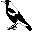 Magpie 3