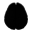 Amigdala