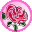 Pink Browser v1.0
