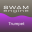 Audio Modeling SWAM Trumpets