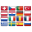 CIC Language Coding Utility