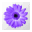 Artweaver 1.0