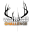 Whitetail Challenge version 1.0