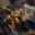 Instruments of Destruction