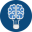 Focus version 1.7.4