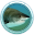 Tiger Sharks 3D Screensaver and Animated Wallpaper 1.0