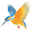 Halcyon Windows Suite