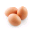 DeEgger Embedder