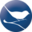 Bird Journal 4