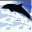 Dolphin Dreams 5