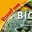 Rund um ... BIOskop 7-10 (Teil 1)