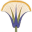 EveilAstro 1.0.0