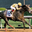 Racetrack Handicapper 1.2
